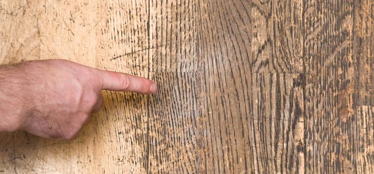 Wood Door Scratch Repair in West Rancho Dominguez